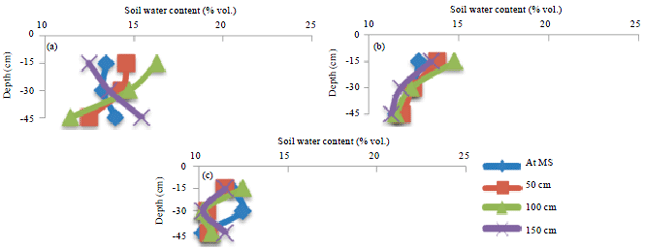 Image for - Distribution of Water and Nitrogen in Soil under Drip and Microsprinkler 
  Irrigation Fertigation of Garlic (Allium sativum L.) Crop