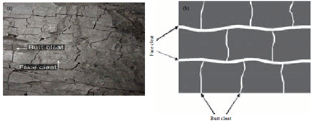 Image for - Effect of Coal Rank and Porosity on the Optimization of ECBM Recovery