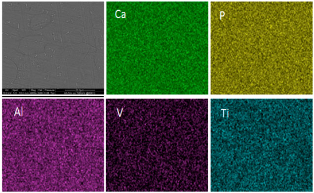 Image for - Structural and Compositional Characterization of Ion Beam Sputtered Hydroxyapatite  Thin Films on Ti-6Al-4V