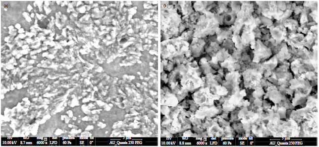 Image for - Physical Properties of MnS Films Deposited by Nebulizer Technique