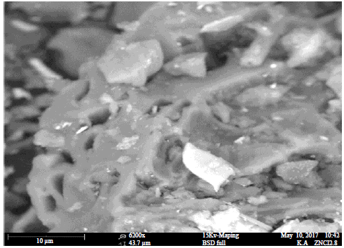 Image for - Preparation and Characterization of Hydrothermal Activated Carbon from Banana Empty Fruit Bunch with ZnCl2 Activation for Removal of Phenol in Aqueous Solution