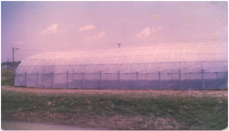 Image for - Impact on Energy Consumption in Greenhouse Fish Production