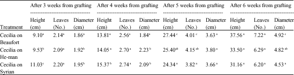 Image for - Effect of Grafting Tomato on Different Rootstocks on Growth and Productivity under Glasshouse Conditions