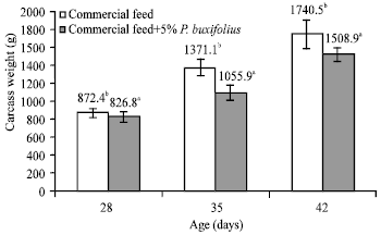 Image for - Reduction of Intracellular Lipid Accumulation, Serum Leptin and Cholesterol Levels in Broiler Fed Diet Supplemented with Powder Leaves of Phyllanthus buxifolius
