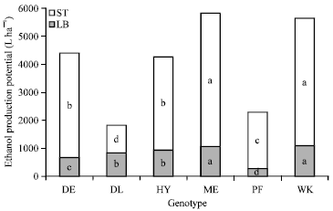 Image for - Variation in Growth Attributes, Dry Matter Yield and Quality Among 6 Genotypes of Napier Grass used for Biomass in Year of Establishment in Southern Kyushu, Japan