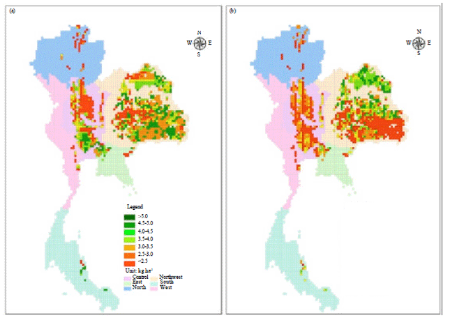 Image for - Evaluation of Erosion Productivity Impact Calculator (EPIC) Model for Nitrogen Losses in Rice Paddy of Thailand