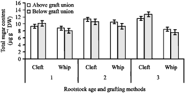 Image for - Effects of Grafting Time and Grafting Methods Used on Scion and Rootstock  Compatibility of Physic Nut (Jatropha curcas L.)