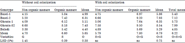 Image for - Effect of Soil Solarization and Organic Fertilization on Yield of Maize (Zea mays L.) Genotypes and Soil Chemical Properties