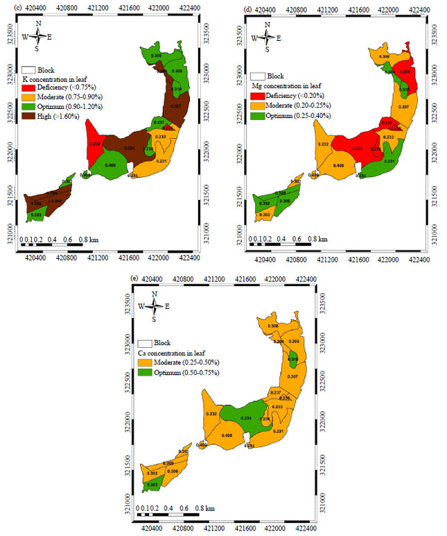 Image for - Mapping Nutrient Status in Oil Palm Plantation Using Geographic Information System