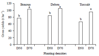 Image for - Effects of Planting Bed and Density on the Yield of Pineapple (Ananas comosus L. var., MD2) Grown in Short Rainy Season in Southern Côte d’Ivoire