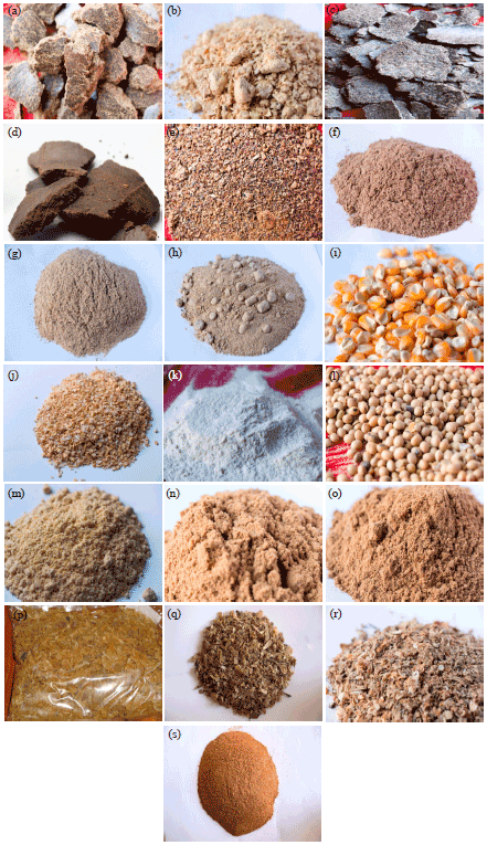 Image for - Determination of the Proximate Composition of Available Fish Feed Ingredients in Bangladesh
