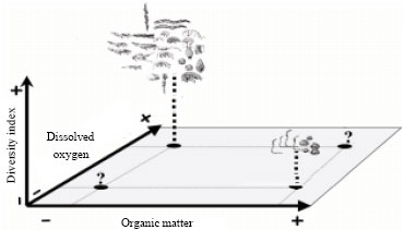 Image for - Study on the Effect of Sewage Pollutant of Bandar Imam Petrochemical Company on Benthic Macrofauna Community Mossa Creek Using Biodiversity Indices and Bioindicators