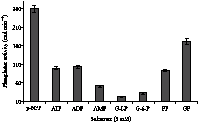 Image for - Effect of Phytohormones and Group Selective Reagents on Acid Phosphatase from Cladosporium cladosporioides