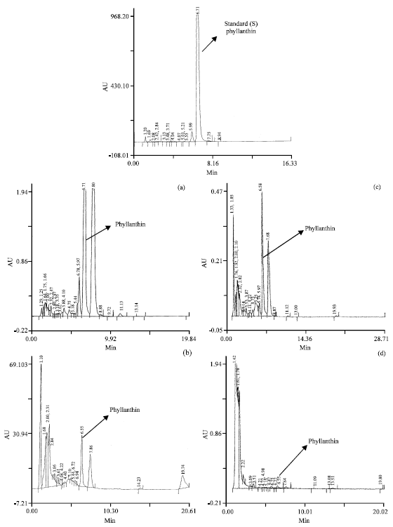 Image for - HPTLC and HPLC Analysis of Bioactive Phyllanthin from Different Organs of Phyllanthus amarus
