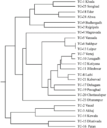 Image for - Assessment of Genetic Diversity in Medicinal Climber of Tinospora cordifolia (Willd.) Miers (Menispermaceae) from Gujarat, India