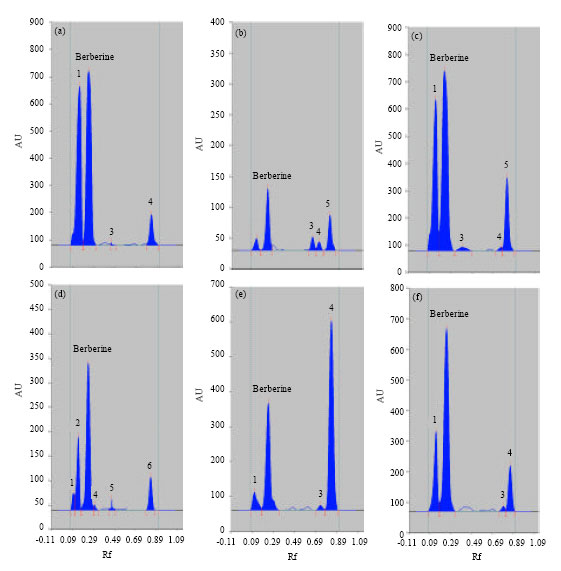 Image for - Analysis of Berberine Content using HPTLC Fingerprinting of Root and Bark of Three Himalayan Berberis Species