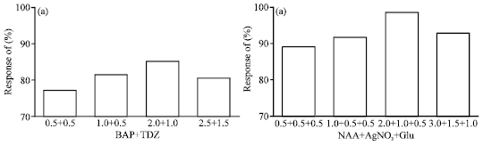 Image for - Effect of Amino Acids and Growth Regulators on Indirect Organogenesis in Artemisia vulgaris L.
