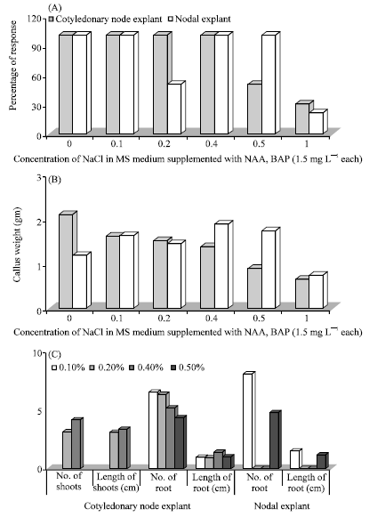 Image for - Assessment of Salinity Tolerance of Vigna mungo Var. Pu-19 Using ex vitro and in vitro Methods
