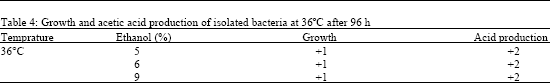 Image for - Isolation and Characterization of an Acetobacter Strain from  Iranian White-Red Cherry as a Potential Strain for Cherry Vinegar Production  in Microbial Biotechnology