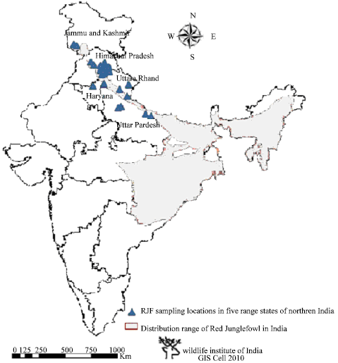Image for - Genetic Diversity Studies of Red Junglefowl Across its Distribution Range in Northern India