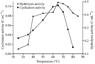 Image for - Production of a Thermoactive Β-cyclodextrin Glycosyltransferase with a High Starch Hydrolytic Activity from an Alkalitolerant Bacillus Licheniformis Sk 13.002 Strain