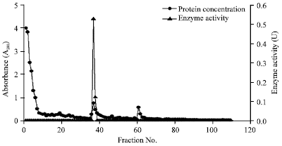 Image for - Purification and Biochemical Characterization of a Novel Magnesium Dependent Lipase from Trichosporon asahii MSR 54 and its Application in Biodiesel Production