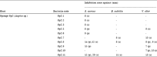 Image for - Antibacterial Properties of Rhodobacteracea bacterium Sp.2.11 Isolated from Sponge Aaptos aaptos Collected from Barrang Lompo East Sulawesi