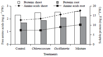 Image for - Improvement of Growth, Physiology and Antioxidant System of Vicia faba by Algal Treatments