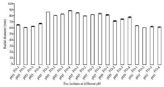 Image for - Variability among Isolates of Fusarium oxysporum f. sp. chrysanthemi Pathogenic to Chrysanthemum