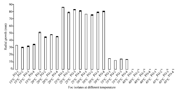 Image for - Variability among Isolates of Fusarium oxysporum f. sp. chrysanthemi Pathogenic to Chrysanthemum