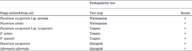Image for - Pathogencity Test of Some Saprophytic Fungi Isolated from Different Water Sources and Cultivated Crops at Allahabad Region