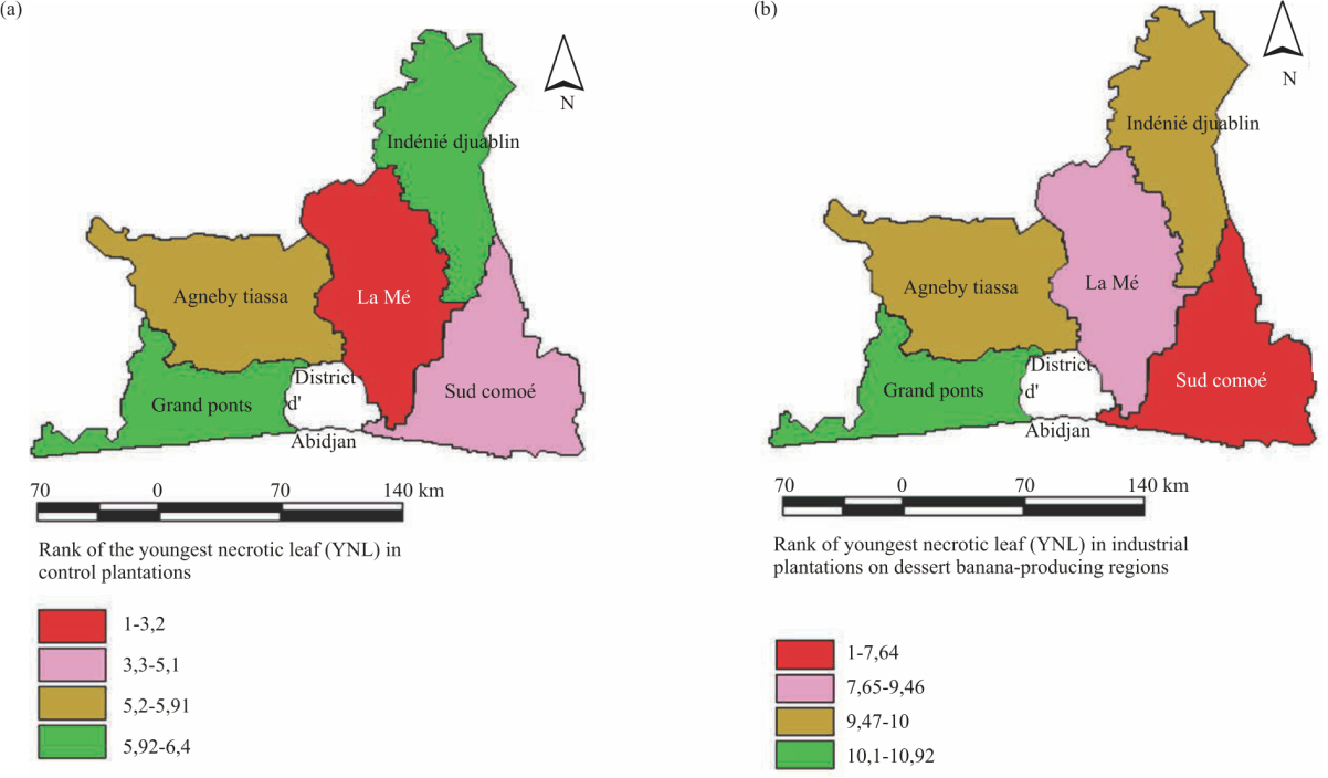 Image for - Black Leaf Streak Disease Assessment During Production of Dessert Banana Basin in South-Eastern Côte D'Ivoire