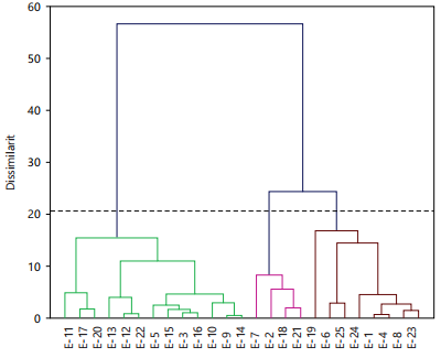 Field Performance Evaluation Of Climbing Beans Phaseolus Vulgaris L 