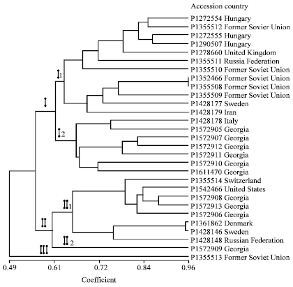 Image for - Variation of High-Molecular-Weight Glutenin Subunits and Gliadin in T.aestivum ssp. macha