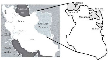 Image for - Anuran Karyological Study of Khorasan Province