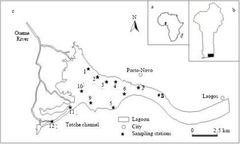 Image for - Distribution of Benthic Insect Fauna in a West African Lagoon: The Porto-Novo Lagoon in Benin