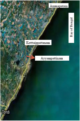 Image for - Hydrobiological Investigations in Ayyampattinam Coast (Southeast Coast of India) with Special Reference to Zooplankton