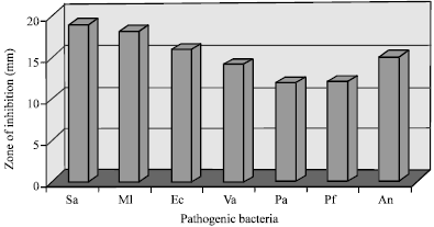 Image for - A Morphological, Physiological and Biochemical Studies of Marine Streptomyces rochei (MTCC 10109) Showing Antagonistic Activity Against Selective Human Pathogenic Microorganisms