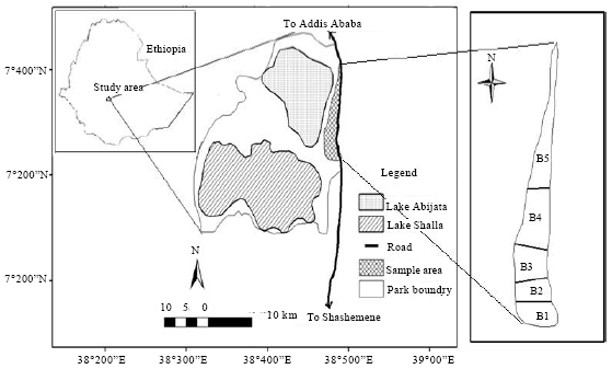 Image for - Population Status, Feeding Ecology and Activity Patterns of Grant’s Gazelle (Gazella granti) in Abijata-Shalla Lakes National Park, Ethiopia