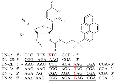 Image for - Sequence Discriminating Ability of OligoDNA Bearing Silylated Pyrene Derivatives through Excimer Formation