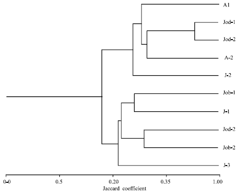 Image for - Regional Variation in Genetic Structure and Pathogenecity of Fusarium oxysporum f. sp. cumini Isolated from Cuminum cyminum L.