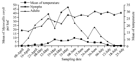 Image for - Seasonal Population Dynamics and Spatial Distribution of Myzocallis coryli Goetze on Corylus avellana in Iran