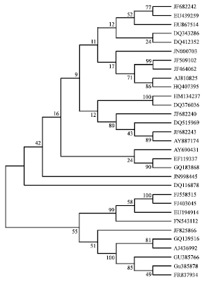 Image for - Computational Characterization of Begomovirus Infecting Two Ornamental  Plants: Jasminum sambac and Millingtonia hortensis