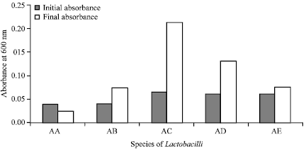 Image for - Studies on the Probiotic Properties of Some Lactobacillus Species Isolated from Local Raw Cow Milk