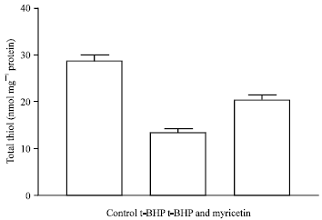 Image for - Protective Effect of Myricetin on Proteins and Lipids of Erythrocytes Membranes