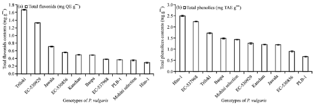 Image for - Quantitative Analysis of Total Flavonoids and Phenolics Contents of Ten Genotypes of Phaseolus vulgaris Linnaeus