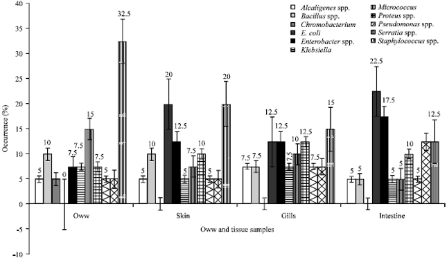 Image for - Bacterial Population of Clarias gariepinus (Burchell 1822) Exposed to an Oilfield Wastewater in Rivers State, Nigeria