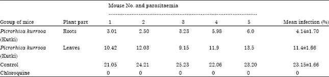 Image for - Picrorhiza kurrooa Royal Ex Benth Exhibits Antimalarial Activity against Plasmodium berghei Vincke and Lips, 1948