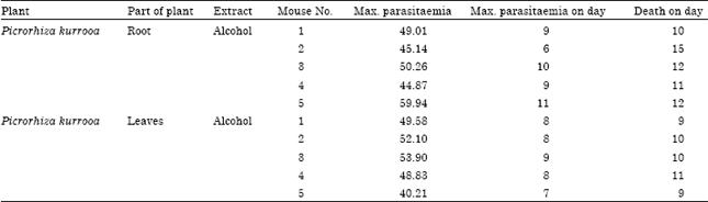 Image for - Picrorhiza kurrooa Royal Ex Benth Exhibits Antimalarial Activity against Plasmodium berghei Vincke and Lips, 1948