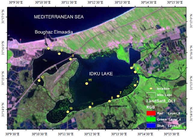 Image for - Spatiotemporal Changes of Plant Diversity and Trophic Level in Idku Lake, Egypt: Integrating Remote Sensing and GIS